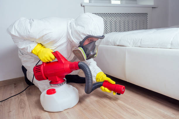 Best Local Pest Control Services  in Pasadena Hills, FL