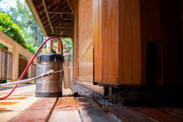 Best Local Pest Control Services  in Pasadena Hills, FL