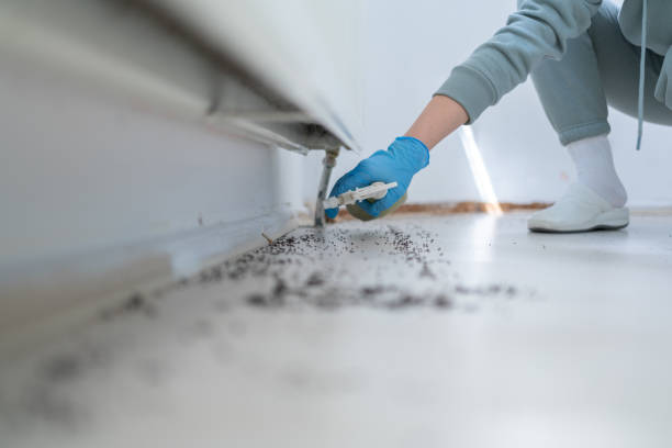 Best Wildlife Control Services  in Pasadena Hills, FL